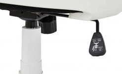 Bürodrehstuhl Biese -Stuhle Geschaft 10358153 8 201811271511