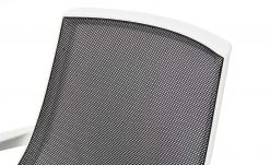 Bürodrehstuhl Biese -Stuhle Geschaft 10358153 9 201811271511