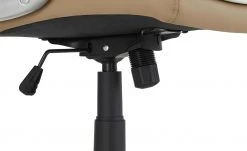 Chefsessel beige & weiß Weißach 2 | Creme -Stuhle Geschaft 10359736 8 201811271541