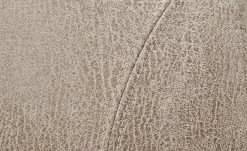 Polsterstuhl Top-Chairs | Natur (Beige) Eiche San Remo -Stuhle Geschaft 11303192 6 201811271501