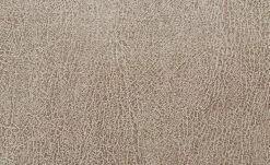 Polsterstuhl Top-Chairs | Natur (Beige) Eiche San Remo -Stuhle Geschaft 11303192 7 201811271501