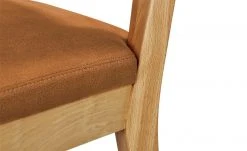 Wohnwert Armlehnstuhl Alvar | Terra -Stuhle Geschaft 11309090 2 202101262257