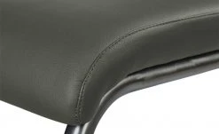 Wohnwert Freischwinger Paavo | Fango (Anthrazit) Nein -Stuhle Geschaft 11309196 5 202009282248