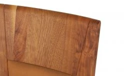 Wohnwert Polsterstuhl Alvar | Terra (Orange) 15 Wohnwert Polsterstuhl Alvar | Terra (Orange) -Stuhle Geschaft 11309322 6 202101262257