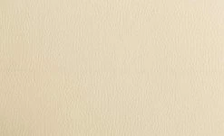 Polsterstuhl Gattuso | Creme -Stuhle Geschaft 11318473 2 201811271451