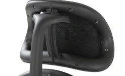 Bürodrehstuhl Sitness Profi 650 -Stuhle Geschaft 11350473 9 202103081239