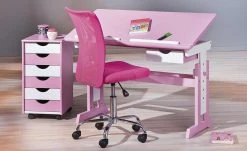 Drehstuhl Ill | Pink