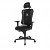 Gaming Stuhl ace 2 Gaming Stuhl ace -Stuhle Geschaft 11352537 1 202001212236