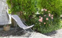 Lafuma Relaxstuhl Maxi Transat | Magnolia (Rosa)