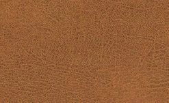 Polsterstuhl Top-Chairs | Terracotta Eiche 5 Polsterstuhl Top-Chairs | Terracotta Eiche -Stuhle Geschaft 12302413 1 201811271509