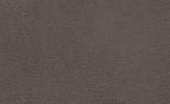 Polsterstuhl Top-Chairs | Graphit (Grau) Eiche 5 Polsterstuhl Top-Chairs | Graphit (Grau) Eiche -Stuhle Geschaft 12302417 1 201811271509