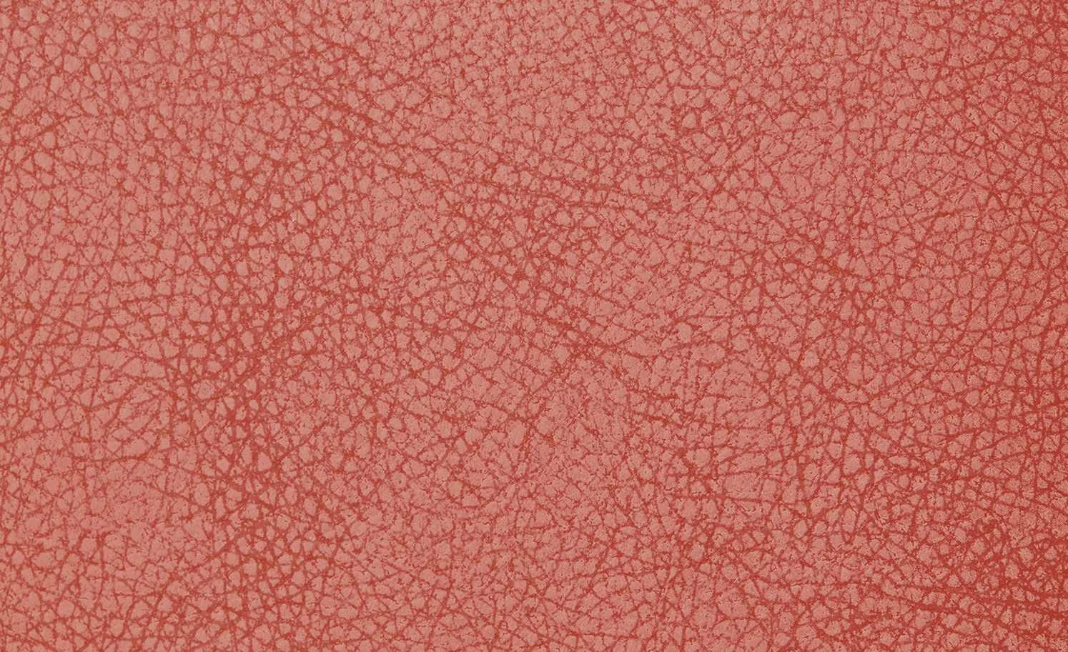 Polsterstuhl 2er Set Buche rot Marlon 5 Polsterstuhl 2er Set Buche rot Marlon – Bild 3