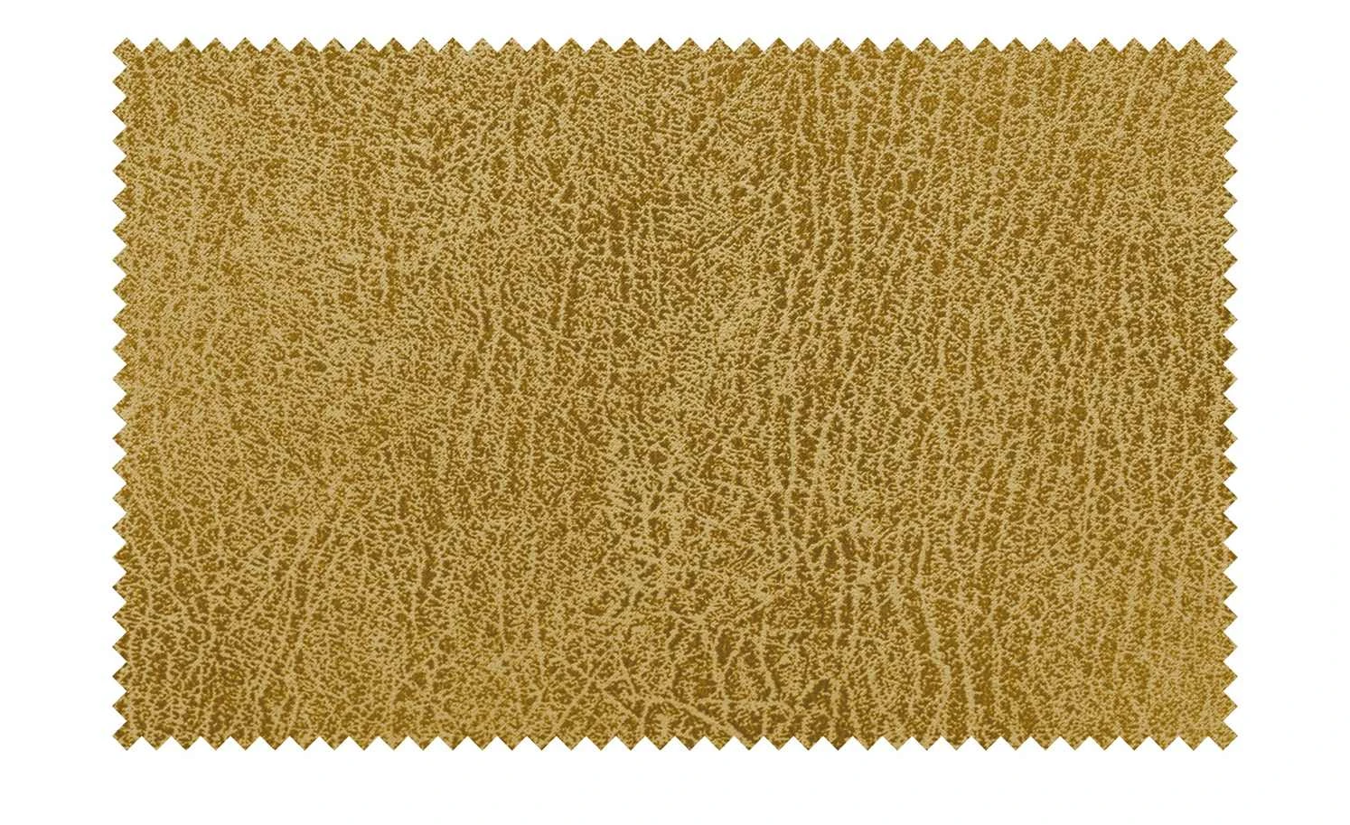 Polsterstuhl Top-Chairs | Gelb Kernbuche 8 Polsterstuhl Top-Chairs | Gelb Kernbuche – Bild 6