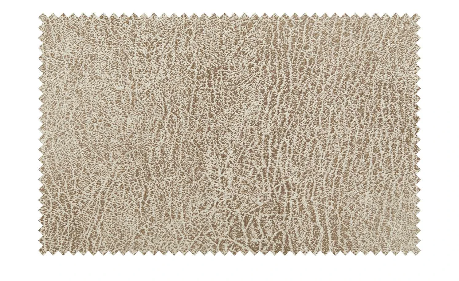 Polsterstuhl Top-Chairs | Natur (Beige) Kernbuche 4 Polsterstuhl Top-Chairs | Natur (Beige) Kernbuche – Bild 2