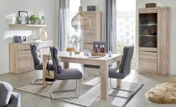 Schwingstuhl Tamme | Grau silberfarben -Stuhle Geschaft 12308630 10 202209170030