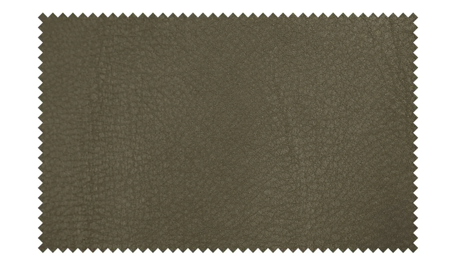 KOINOR Kufenstuhl mit Leder Bexx | Verde (Dunkelgrün) / Beige Nein 7 KOINOR Kufenstuhl mit Leder Bexx | Verde (Dunkelgrün) / Beige Nein – Bild 5
