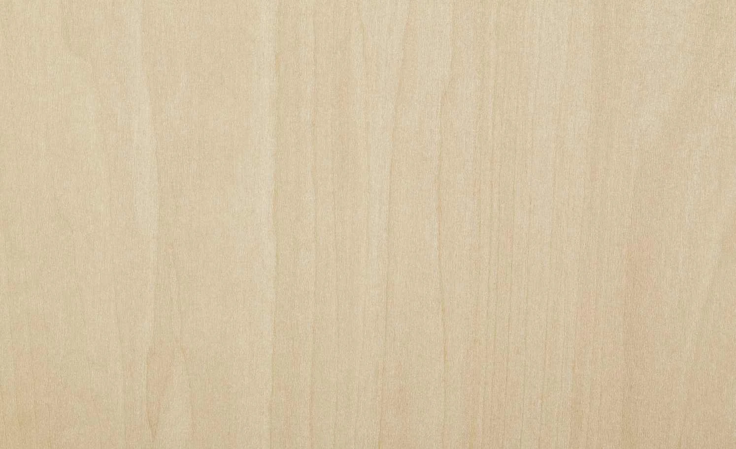 Stapelstuhl Tom | Birke Natur 9 Stapelstuhl Tom | Birke Natur – Bild 7