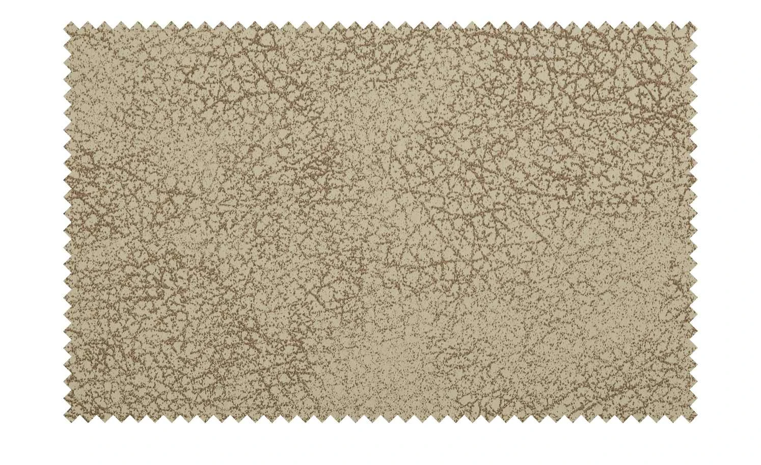 uno Polsterstuhl mit Armlehne Ilvie | Beige 5 uno Polsterstuhl mit Armlehne Ilvie | Beige – Bild 3