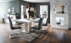 uno Polsterschwingstuhl Vota | Anthrazit -Stuhle Geschaft 13307207 7 202109202232