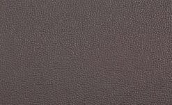 uno Freischwinger Letitia | Braun Leder 16 uno Freischwinger Letitia | Braun Leder -Stuhle Geschaft 13314406 1 201811271501