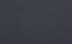 uno Freischwinger Letitia | Nachtblau Leder 11 uno Freischwinger Letitia | Nachtblau Leder -Stuhle Geschaft 13314410 2 201811271510