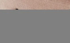 Polsterstuhl Lene | Rosa / Schwarz Ja 25 Polsterstuhl Lene | Rosa / Schwarz Ja -Stuhle Geschaft 13346442 10 202004212238