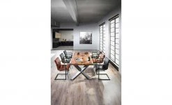 Freischwinger Buff | Anthrazit