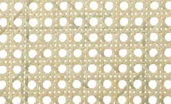 Stuhl Raphael -Stuhle Geschaft 14304172 3 202008190841