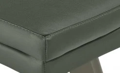 Berger & Rath Leder-Polsterstuhl Arcu | Verde (Grün) Londra (Hellgrau) -Stuhle Geschaft 14305420 3 202101262258