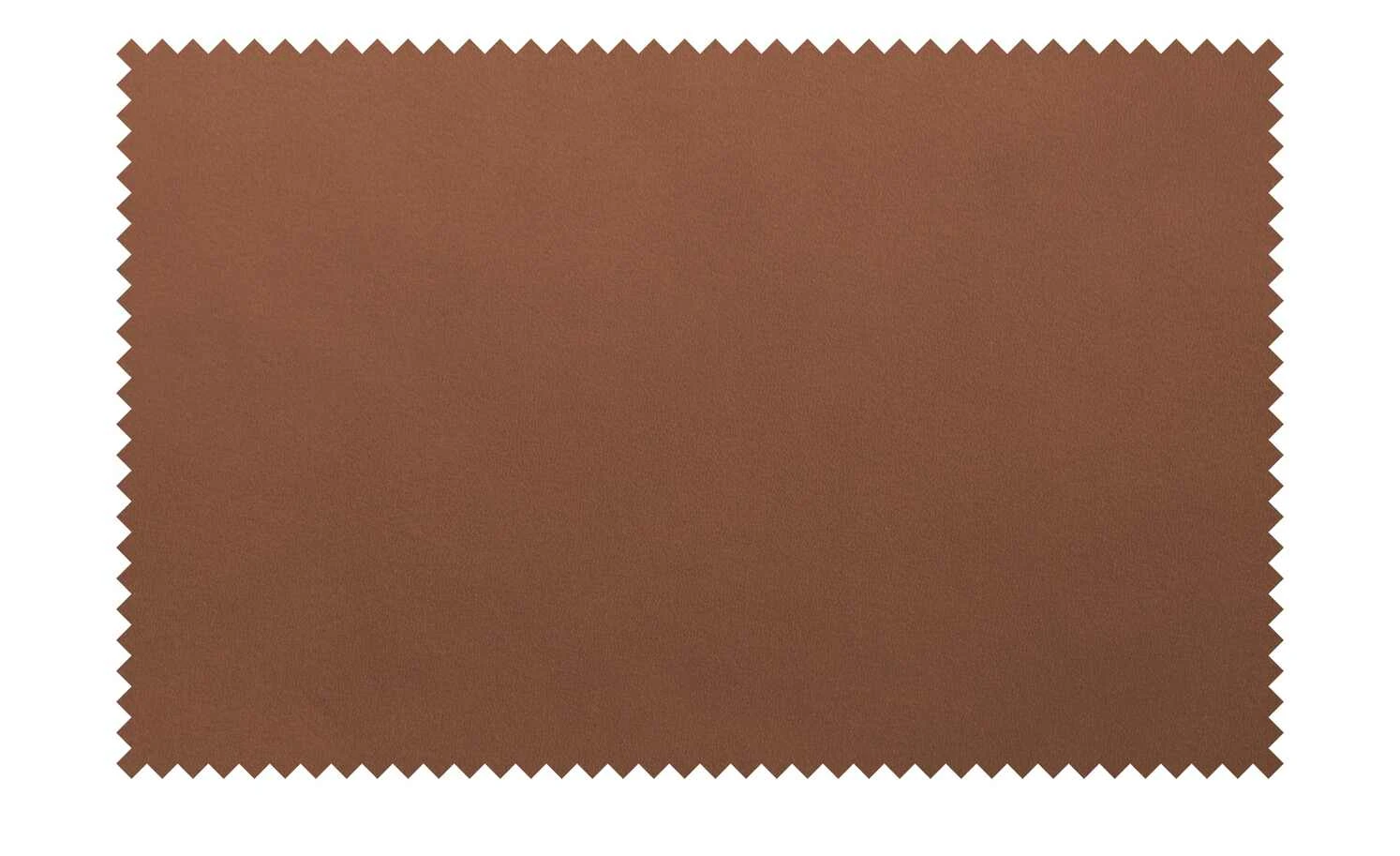 Connubia Schalenstuhl Academy | Cognac (Braun) 4 Connubia Schalenstuhl Academy | Cognac (Braun) – Bild 2