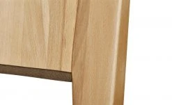 Wohnwert Holzstuhl gepolstert Alvar | Schoko (Braun) -Stuhle Geschaft 14306223 3 202101262258