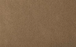 Wohnwert Holzstuhl gepolstert Alvar | Schoko (Braun) -Stuhle Geschaft 14306223 6 202101262258