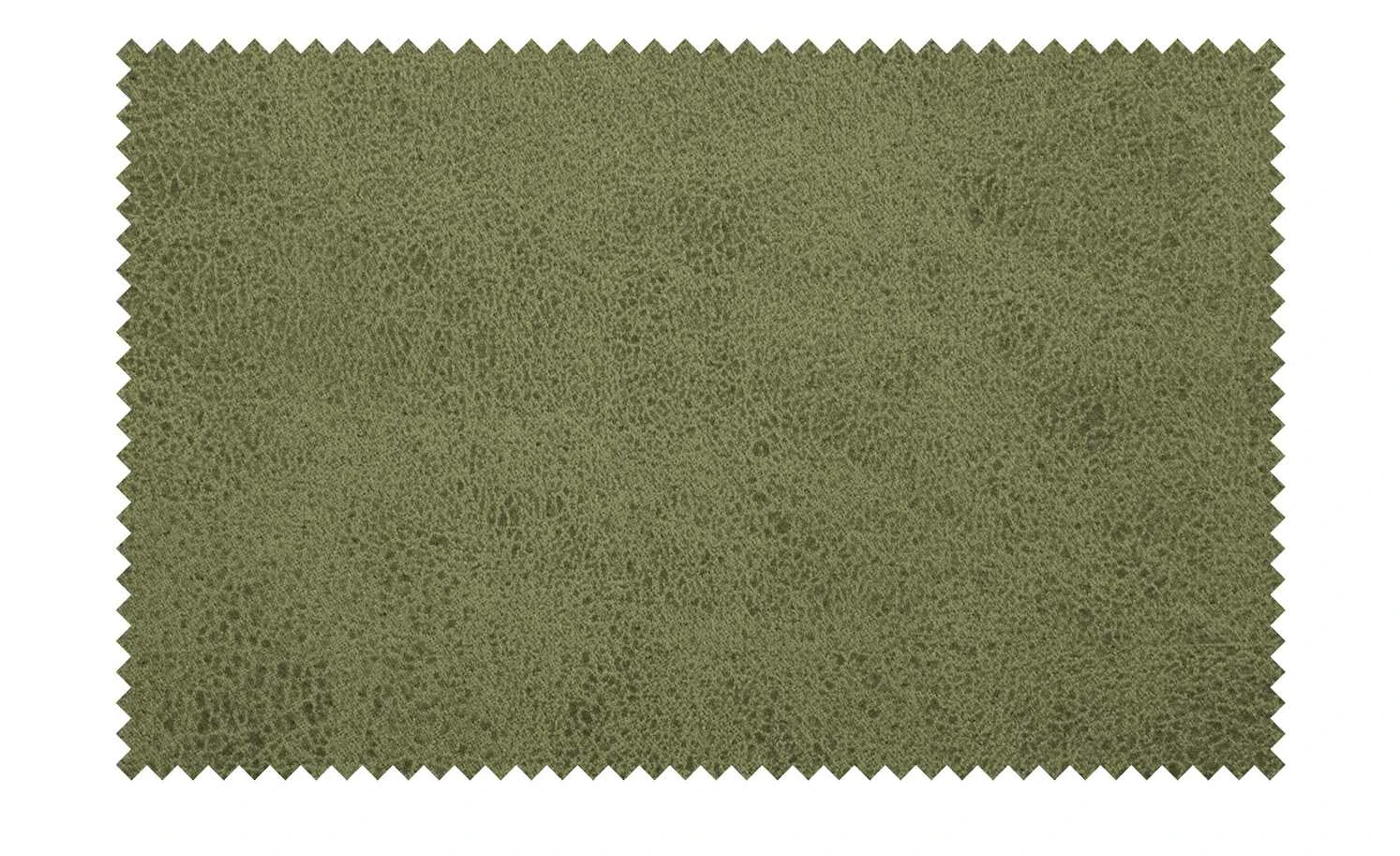 Wohnwert Polsterstuhl mit Armlehne Scandio | Anthrazit / Olivgrün 7 Wohnwert Polsterstuhl mit Armlehne Scandio | Anthrazit / Olivgrün – Bild 5