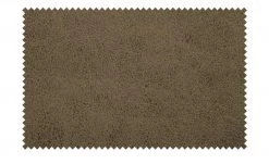 Wohnwert Polsterstuhl mit Armlehne Scandio | Steel (Hellgrau) / Dunkelbraun -Stuhle Geschaft 14306263 8 202011302238