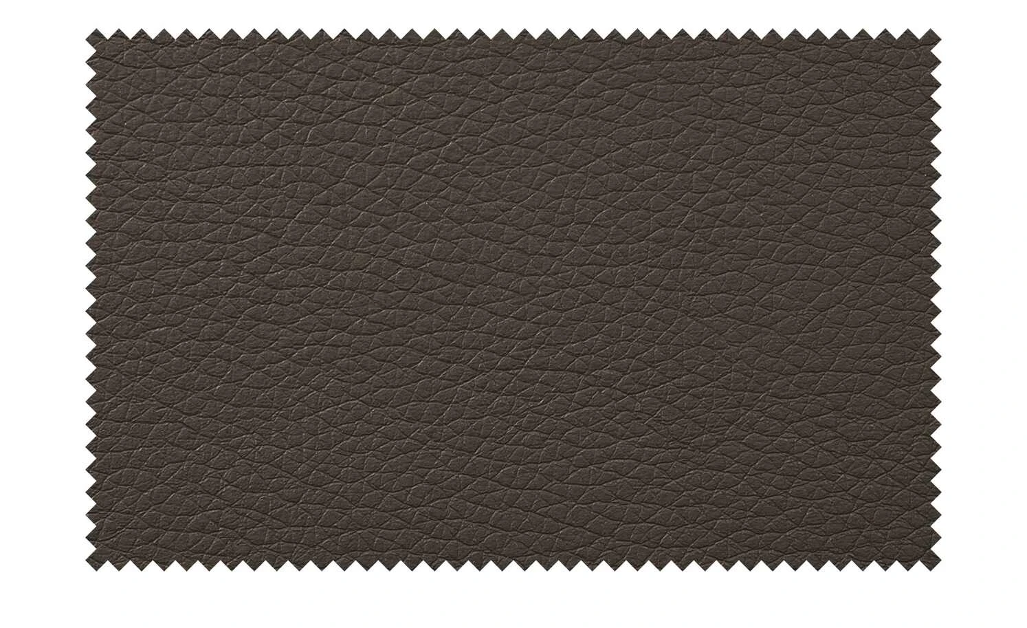 Wohnwert Freischwinger Paavo | Braun Ja 6 Wohnwert Freischwinger Paavo | Braun Ja – Bild 4