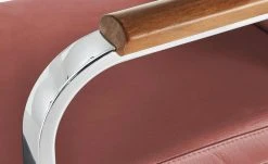 Wohnwert Freischwinger Mero | Rostrot / Grau Ja -Stuhle Geschaft 14306331 4 202011272239