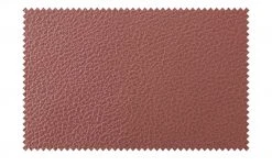 Wohnwert Freischwinger Mero | Rostrot / Grau Ja -Stuhle Geschaft 14306331 9 202011272239