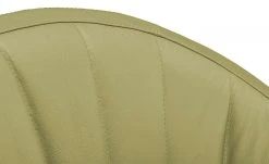 Berger & Rath Kufenstuhl Leder Lanx | Hellgrün -Stuhle Geschaft 14307339 5 202102152236