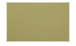 Berger & Rath Polsterstuhl mit Armlehne Lanx | Hellgrün -Stuhle Geschaft 14307344 3 202102152236