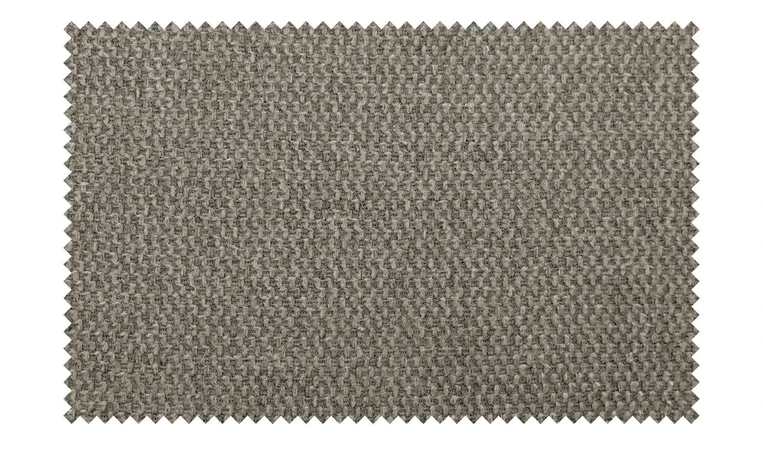 Woodford Polsterstuhl Ansgar | Falcon (Braun) Nein Buche 8 Woodford Polsterstuhl Ansgar | Falcon (Braun) Nein Buche – Bild 6