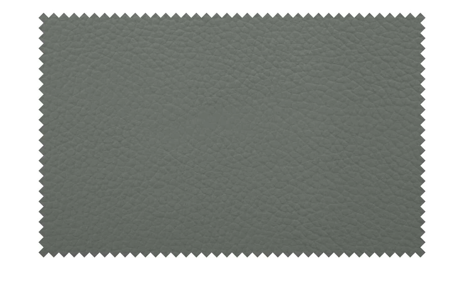 uno Leder-Freischwinger Sammy | Grau 6 uno Leder-Freischwinger Sammy | Grau – Bild 4