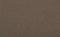 uno Freischwinger Letitia | Cappuccino Kunstleder -Stuhle Geschaft 14307873 2 202102122236