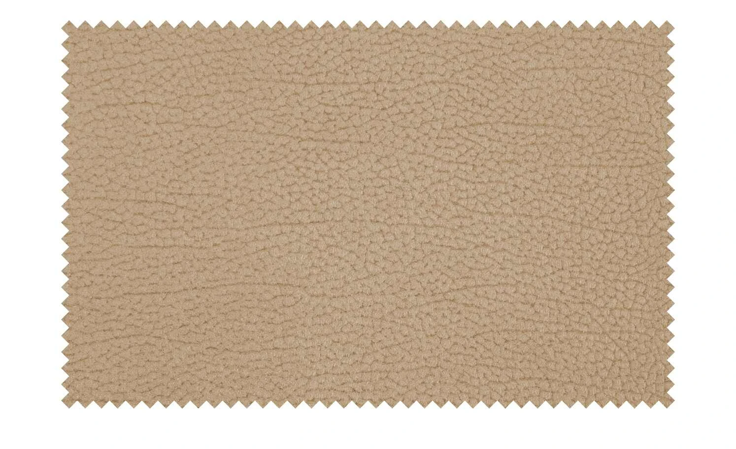 Polsterstuhl Colorado | Ja Beige 4 Polsterstuhl Colorado | Ja Beige – Bild 2