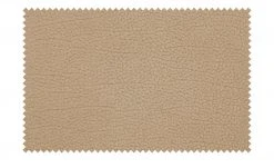 Polsterstuhl Colorado | Nein Beige -Stuhle Geschaft 14308046 5 202102252235