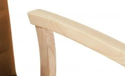 Wohnwert Polsterstuhl Tasso | Terra (Braun-Orange) Ja 18 Wohnwert Polsterstuhl Tasso | Terra (Braun-Orange) Ja -Stuhle Geschaft 14308594 6 202102261258