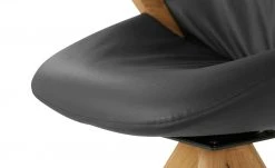 Wohnwert Armlehnstuhl Novum | Schwarz mit Elastic-Aktiv-Federung (gesundes Sitzen) -Stuhle Geschaft 14308747 2 202112221257