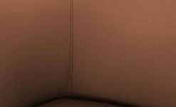 Wohnwert Leder-Schalenstuhl Jalto | Cognacbraun Nein -Stuhle Geschaft 14309706 4 202106292232