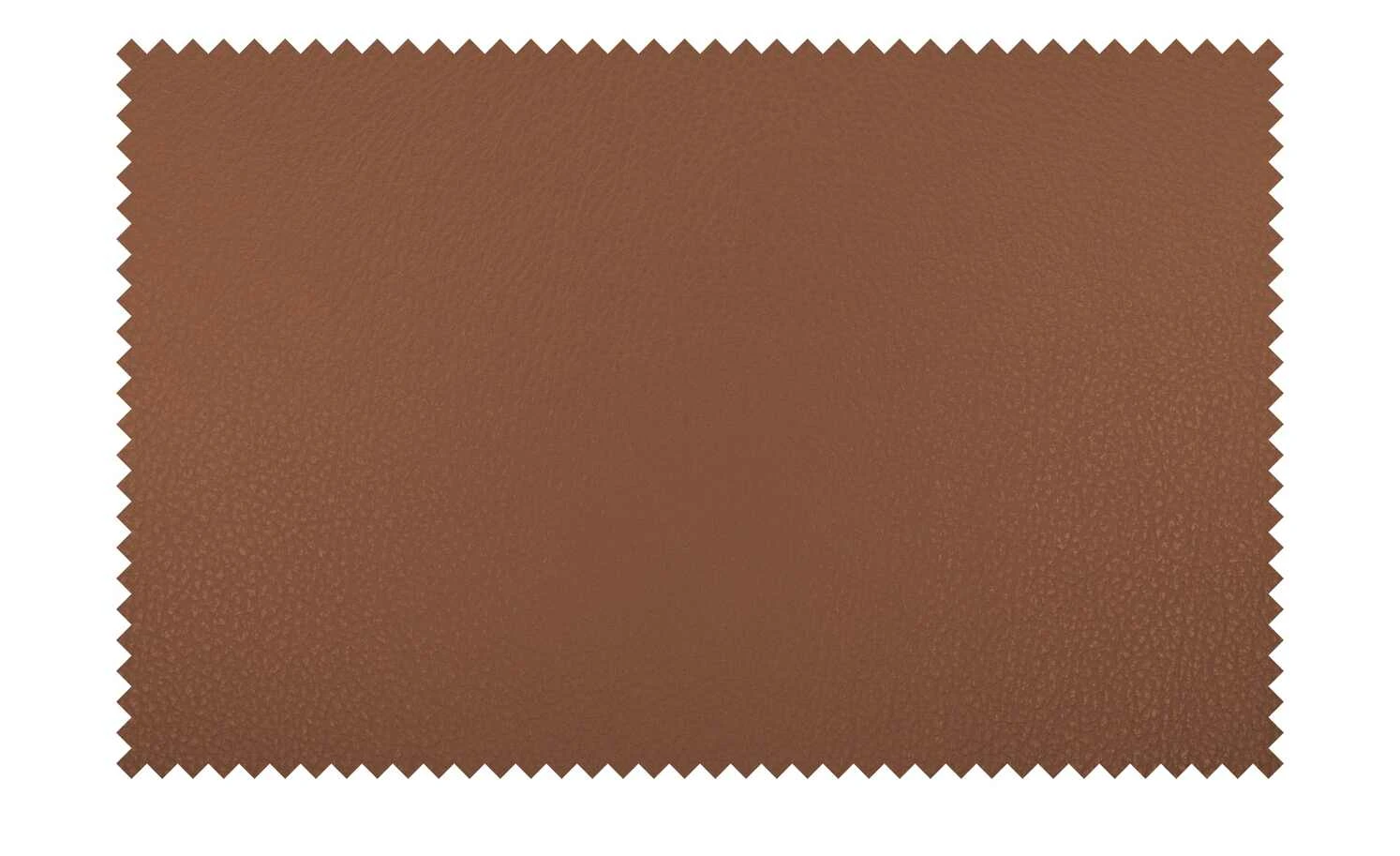 Wohnwert Leder-Schalenstuhl Jalto | Cognacbraun Ja 5 Wohnwert Leder-Schalenstuhl Jalto | Cognacbraun Ja – Bild 3