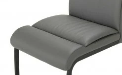 Schwingstuhl Hektor | Grau -Stuhle Geschaft 15300214 3 202108031301