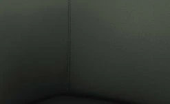 Wohnwert Leder-Schalenstuhl Jalto | Verde (Dunkelgrün) Nein -Stuhle Geschaft 15301192 4 202107021243